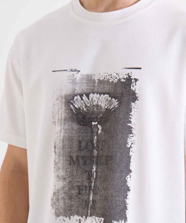 Camisetas para hombre