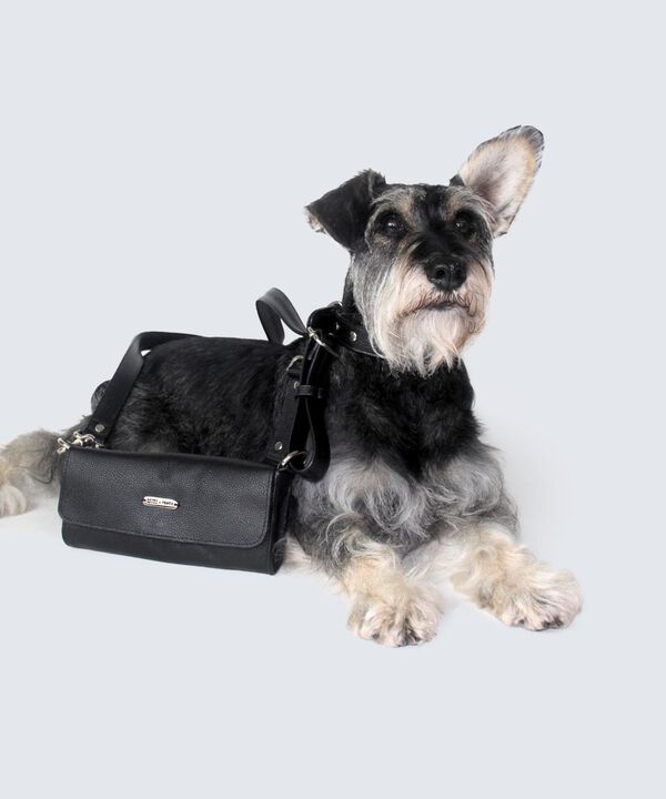 Bolsos para dama image number null