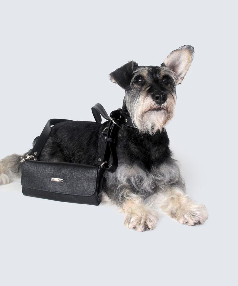 Bolsos para dama