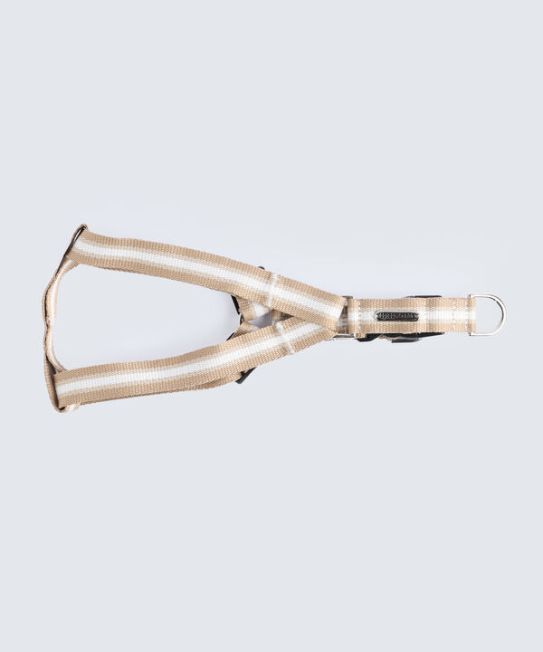 Accesorios para mujer