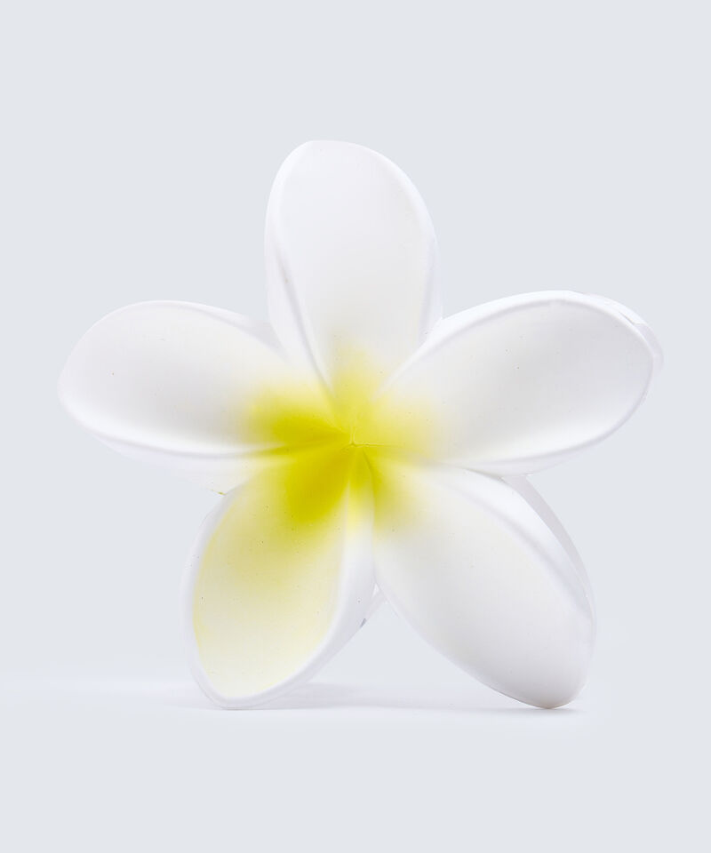 Accesorios para el cabello