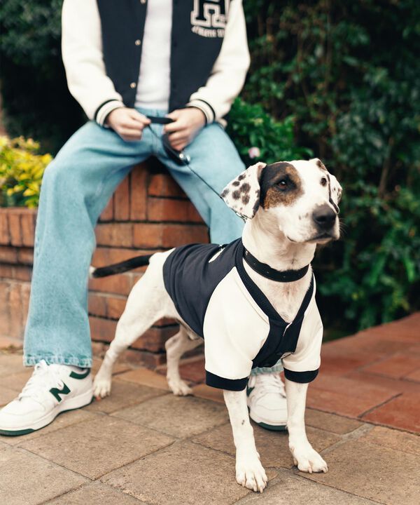 Accesorios de hombre