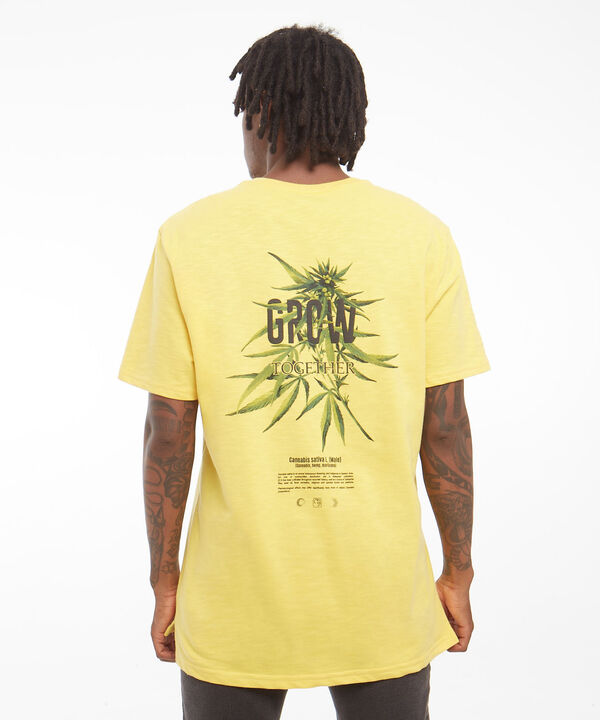 Camisetas para hombre