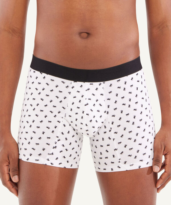 Ropa Interior Para Hombre