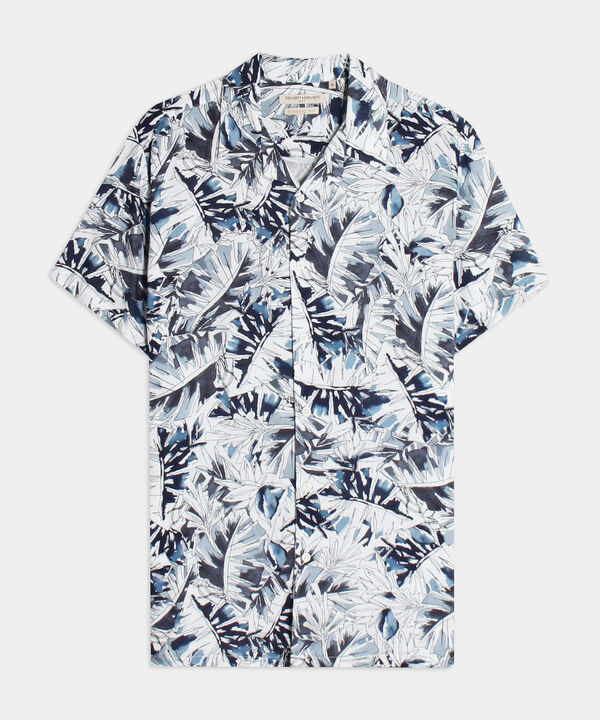 Camisas básicas para hombre 