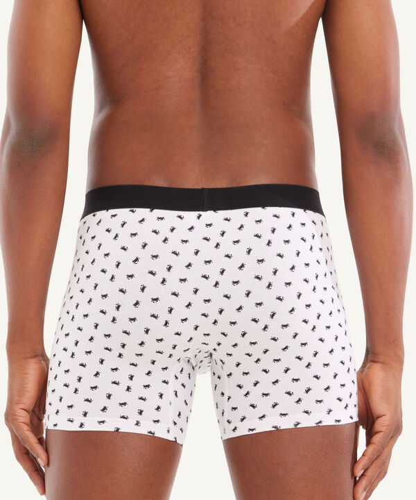 Ropa Interior Para Hombre