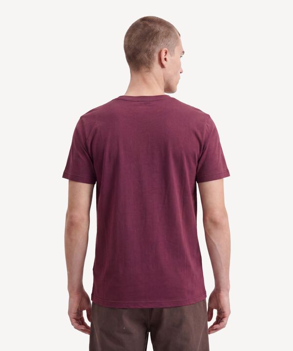 Camiseta Para Hombre