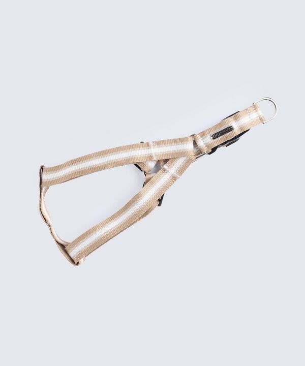 Accesorios para mujer image number null