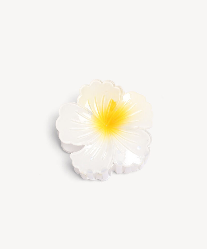 Accesorios para el cabello