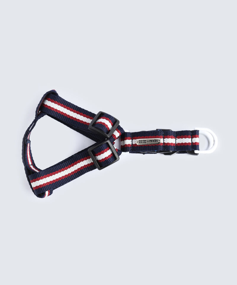 Accesorios para mujer